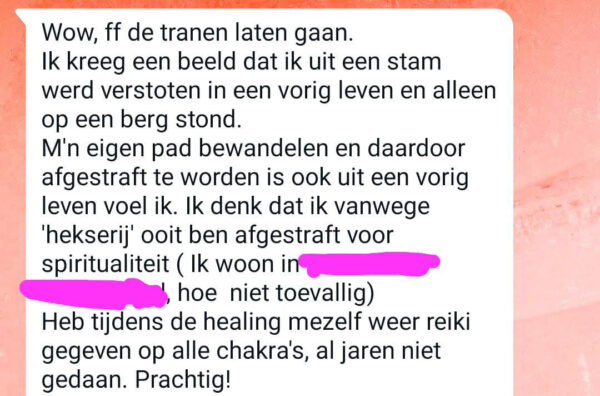 2 Healingen op afstand (2x 1u en 15min.) - Afbeelding 11