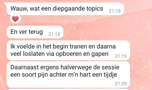 2 Healingen op afstand (2x 1u en 15min.) - Afbeelding 13