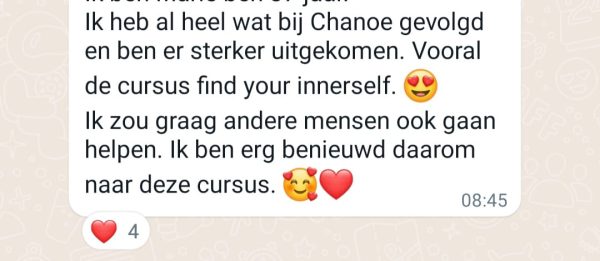 8 Maanden Traject Find Your Innerself - Afbeelding 2