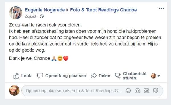 Healing Dieren (Hond, Kat, Paard, Konijn en meer...) - Afbeelding 2