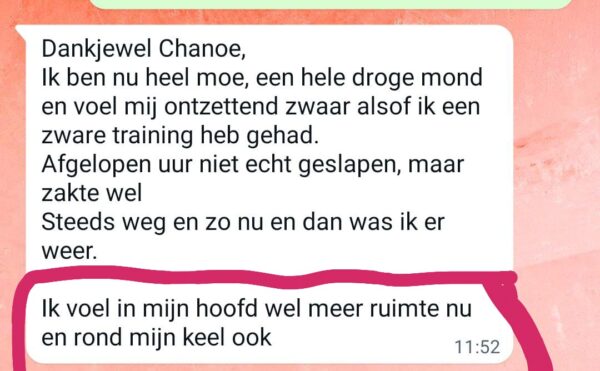 2 Healingen op afstand (2x 1u en 15min.) - Afbeelding 4