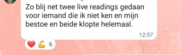 Online Cursus Tarot & Orakel kaarten leren leggen - Afbeelding 9