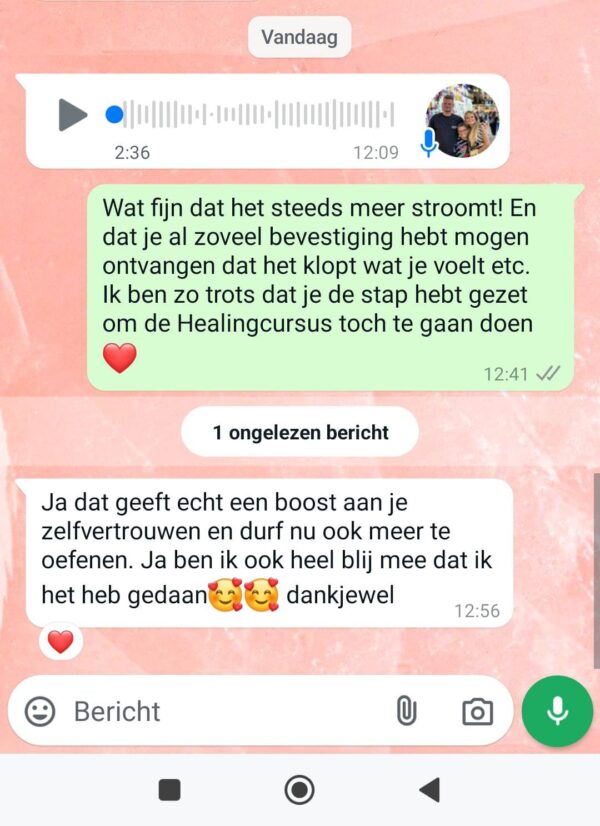 Heal Jezelf en anderen - Healing Module 1 - Afbeelding 7
