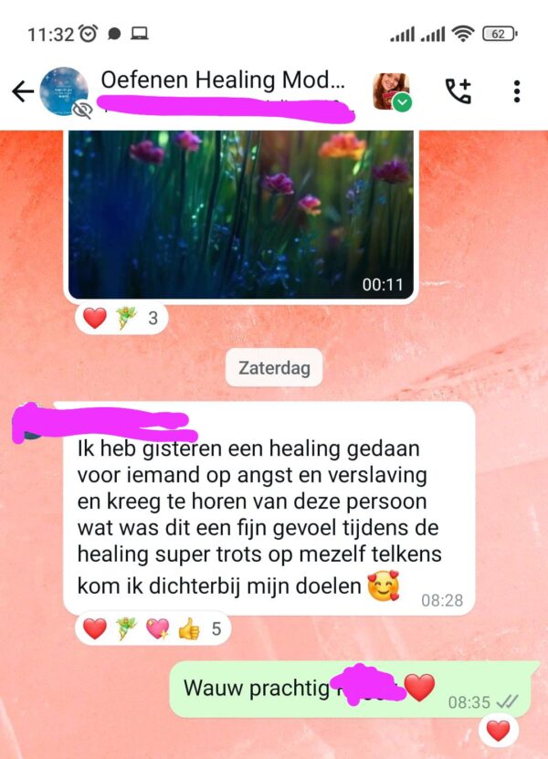 Heal Jezelf en anderen - Healing Module 1 - Afbeelding 8