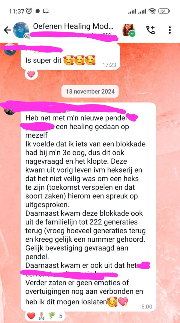 Heal Jezelf en anderen - Healing Module 1 - Afbeelding 10